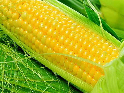 天气转凉 好蔬菜吃出好身体